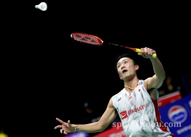 即将复出 即将复出