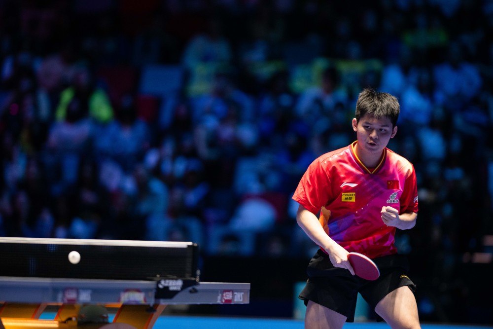 奥本宫殿斗 奥本宫殿斗